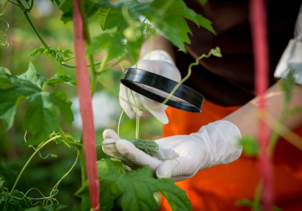 تخصص بيولوجيا