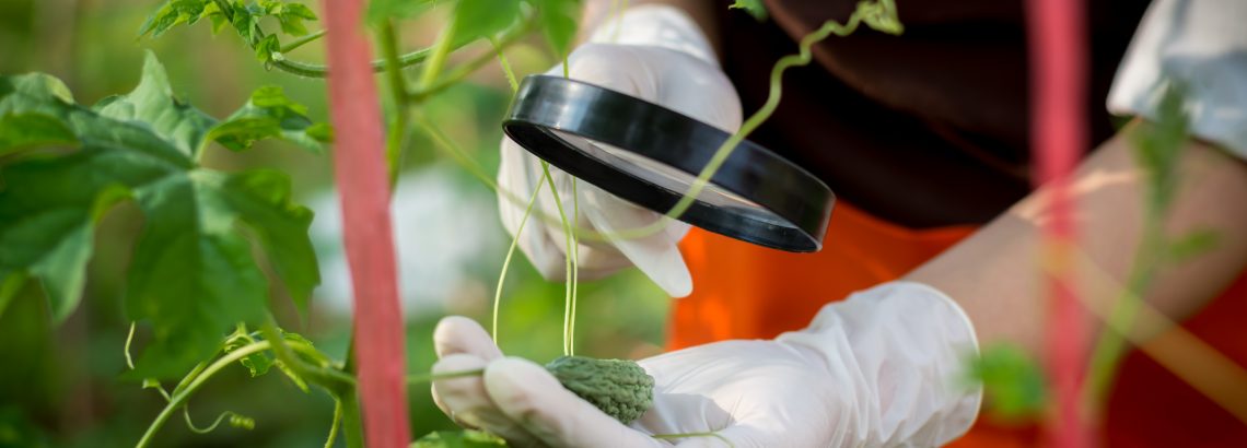 تخصص بيولوجيا