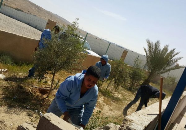 تخصص علم البيئة